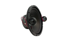 SP-8-DVC- 8" Replacement Dual Voice Coil Speaker Driver