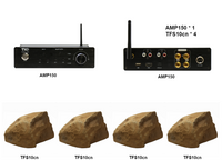 AMP150 Wi-Fi& Bluetooth 5.0 2*100W Amplifier With 4PCS TFS10